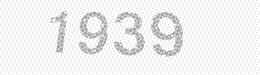 Visual security code — type the characters shown in the image