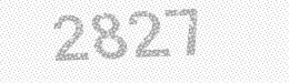 Visual security code — type the characters shown in the image