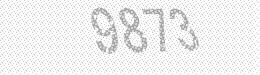 Visual security code — type the characters shown in the image